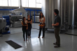 Mendoza: Full Day Wine Tour with 3 Course Lunch