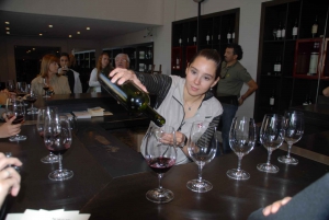 Mendoza: Full Day Wine Tour with 3 Course Lunch