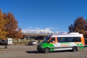 Mendoza: Full Day Wine Tour with 3 Course Lunch