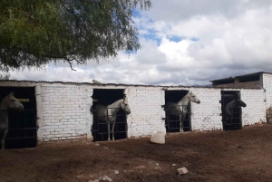 Mendoza: Ritt durch die Anden mit authentischem BBQ