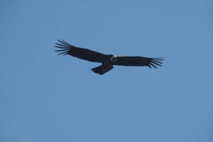 Mendoza: Ritt durch die Anden mit authentischem BBQ