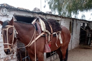 Mendoza: Ritt durch die Anden mit authentischem BBQ