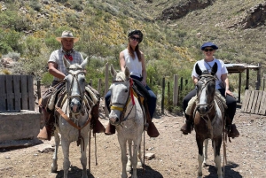 Mendoza: Ritt durch die Anden mit authentischem BBQ