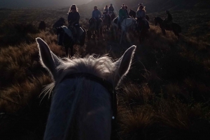 Mendoza: Ritt durch die Anden mit authentischem BBQ