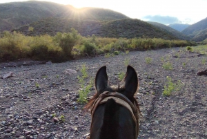 Mendoza: Ritt durch die Anden mit authentischem BBQ