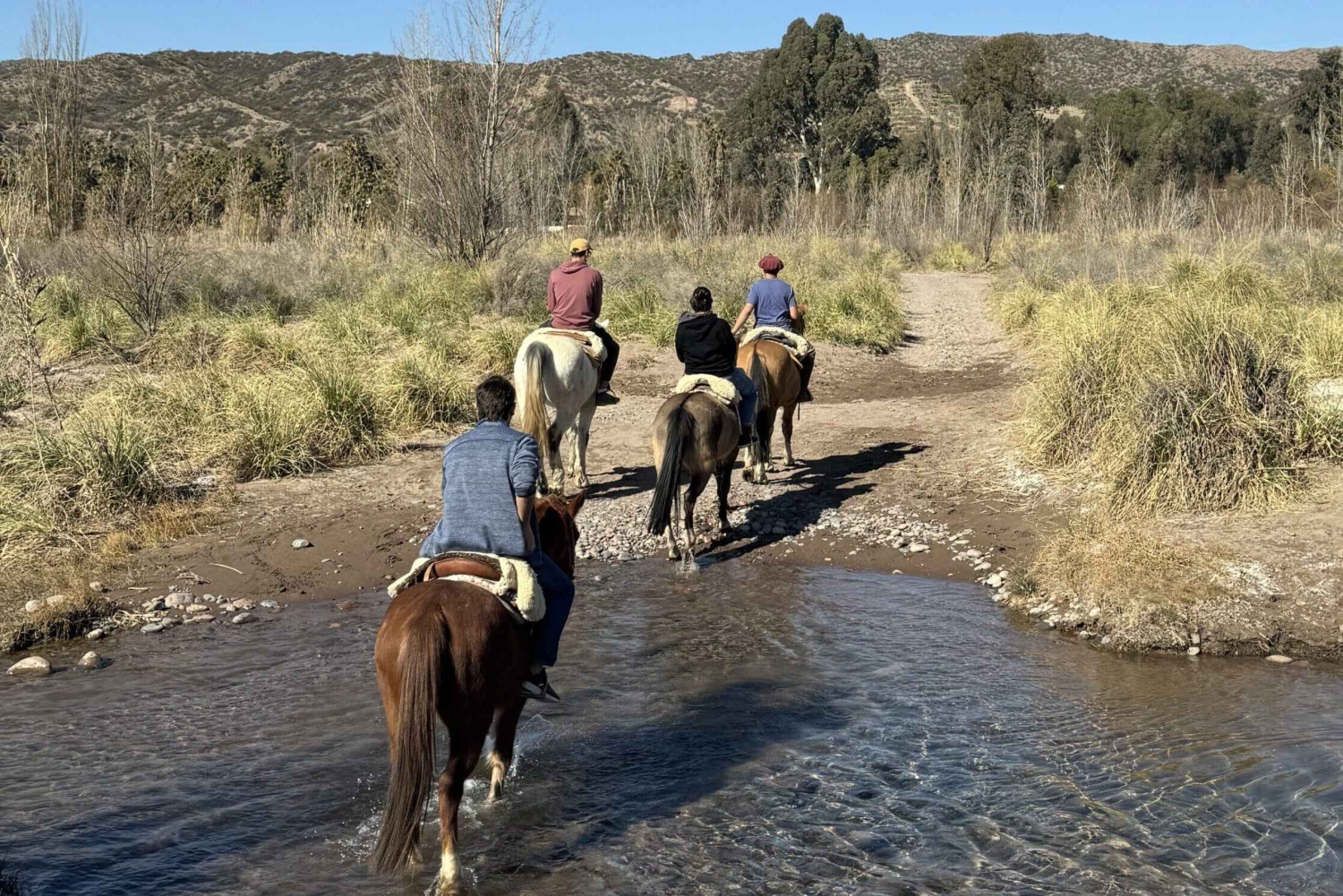 Mendoza: Ridetur i Lunlunta med Asado Criollo