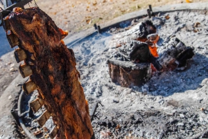 Mendoza: Uco-dalen og Cordon del Plata