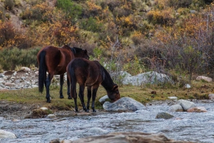 Mendoza: Uco-dalen og Cordon del Plata