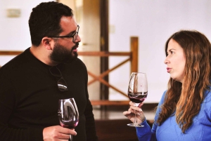 Mendoza: Uco Valley Wine, Culture & History Day Tour