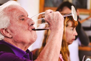 Mendoza: Uco Valley Wine, Culture & History Day Tour