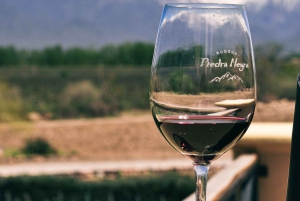 Mendoza: Uco Valley Wine, Culture & History Day Tour