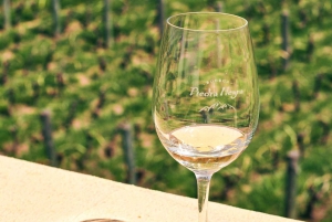 Mendoza: Uco Valley Wine, Culture & History Day Tour