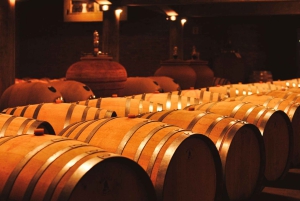 Mendoza: Uco Valley Wine, Culture & History Day Tour