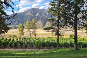 Mendoza: Uco Valley Wine, Culture & History Day Tour