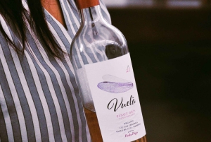 Mendoza: Uco Valley Wine, Culture & History Day Tour