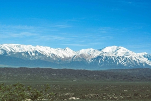 Mendoza: Uco Valley Wine, Culture & History Day Tour