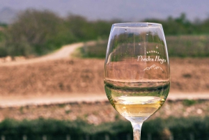 Mendoza: Uco Valley Wine, Culture & History Day Tour