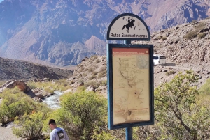 Mendoza: Dagsudflugt til Uspallata, Aconcagua og Puente del Inca