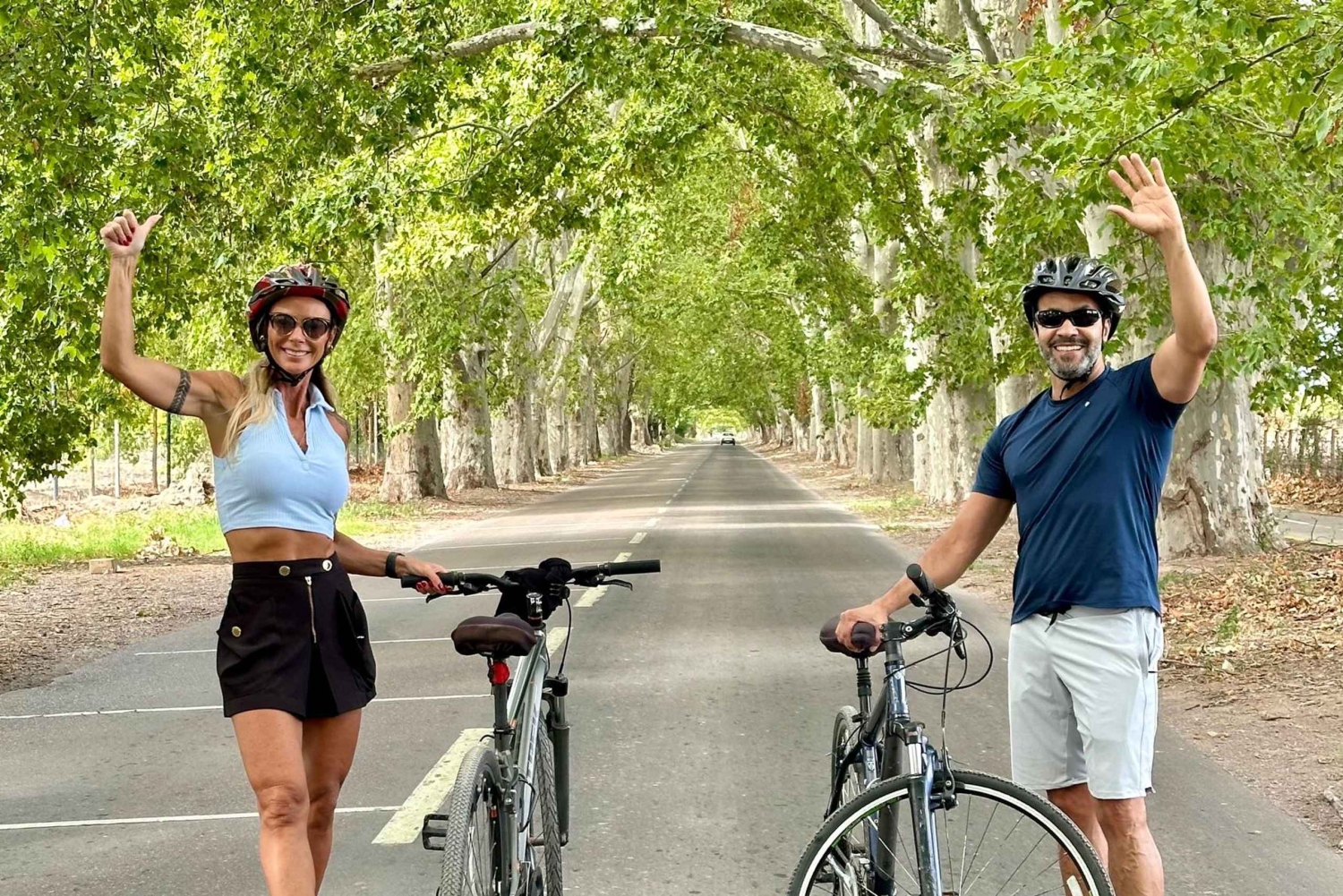 Mendoza: Vin- og sykkeltur gjennom vingårder ved foten av Andesfjellene