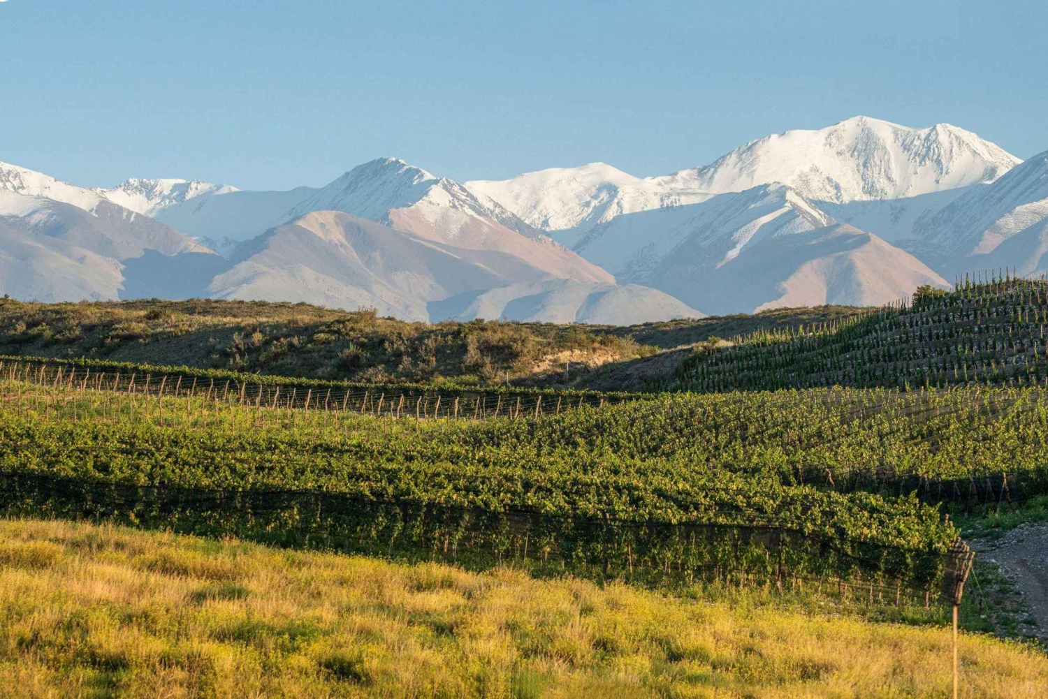 Mendoza Wine Road Trip-tur
