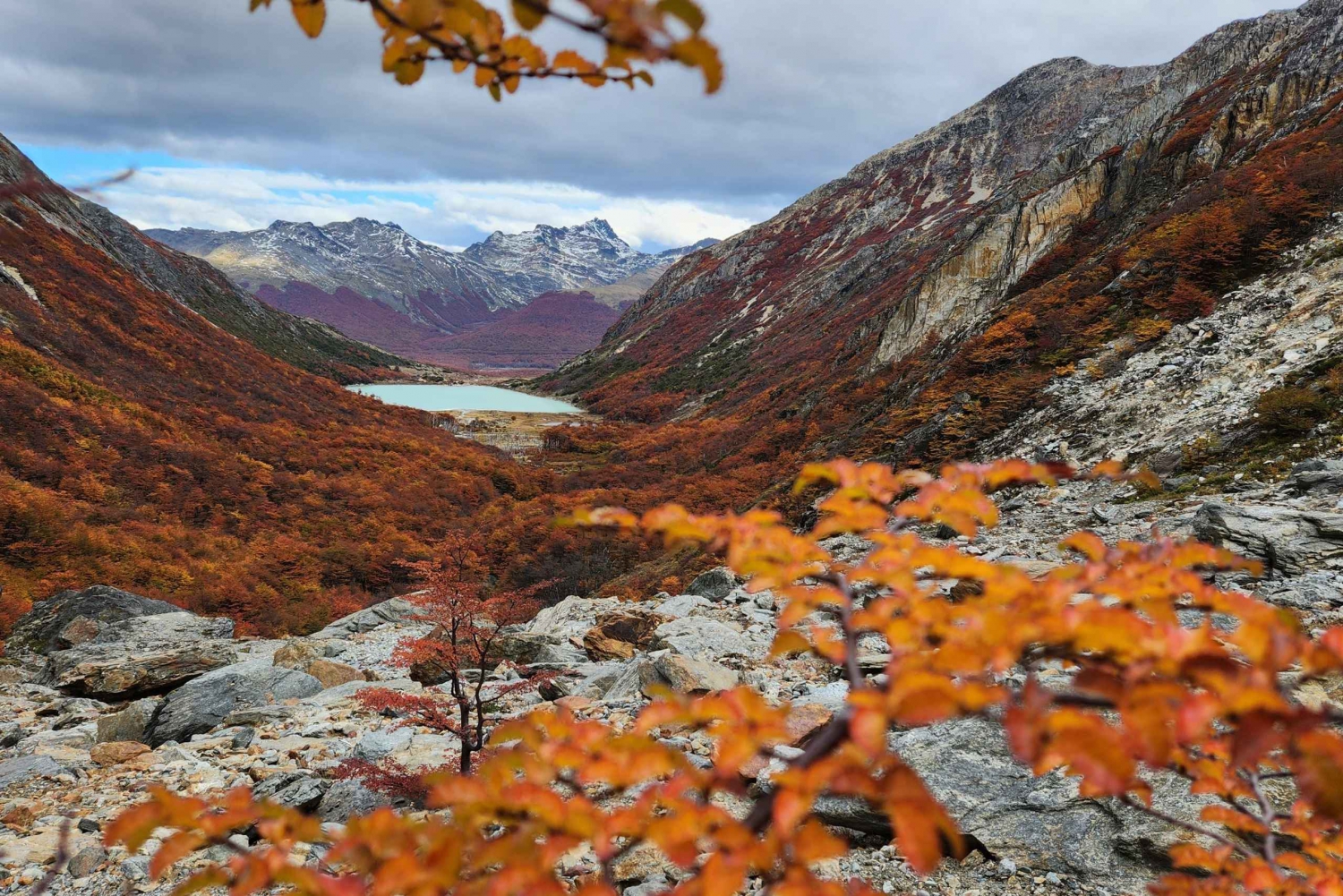 Excursión guiada privada de un día al Glaciar Ojo del Albino