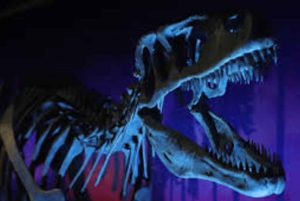 Puerto Madryn: wycieczka do Punta Tombo i Muzeum Paleontologicznego