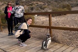 Puerto Madryn: wycieczka do Punta Tombo i Muzeum Paleontologicznego