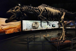 Puerto Madryn: wycieczka do Punta Tombo i Muzeum Paleontologicznego