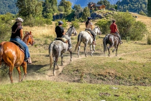Rafting og ridning i El Manso, med avgang fra Bariloche