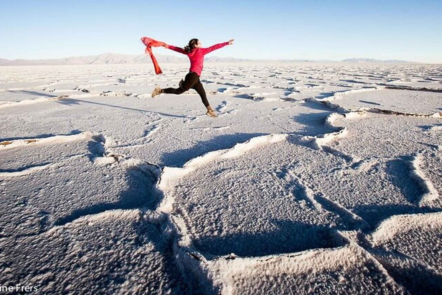 Salta: Safari til skyene og Salinas Grandes med firehjulstrekk