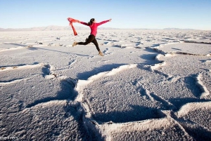 Salta: Safari til skyene og Salinas Grandes med firehjulstrekk