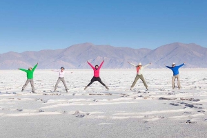 Salta: Safari til skyene og Salinas Grandes med firehjulstrekk