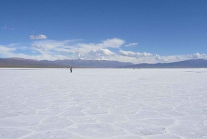 Salta: Safari til skyene og Salinas Grandes med firehjulstrekk