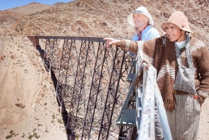 Salta: Safari til skyene og Salinas Grandes med firehjulstrekk