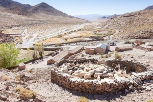 Salta: Safari til skyene og Salinas Grandes med firehjulstrekk