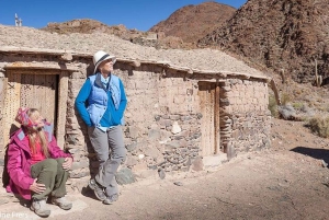 Salta: Safari til skyene og Salinas Grandes med firehjulstrekk