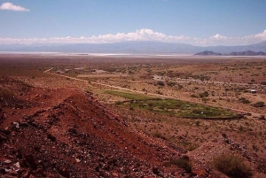 Salta: Safari til skyene og Salinas Grandes med firehjulstrekk