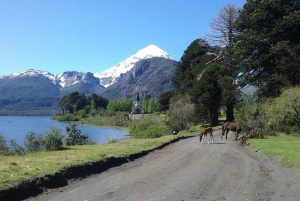 San Martín de los Andes: jezioro Huechulafquen i wulkan Lanín