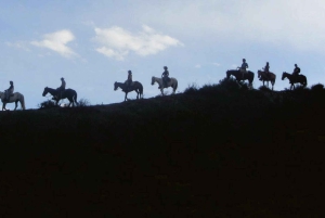 Mendoza: Hesteridning i solnedgangen med grillfest