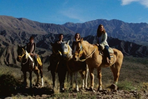 Mendoza: Hesteridning i solnedgangen med grillfest