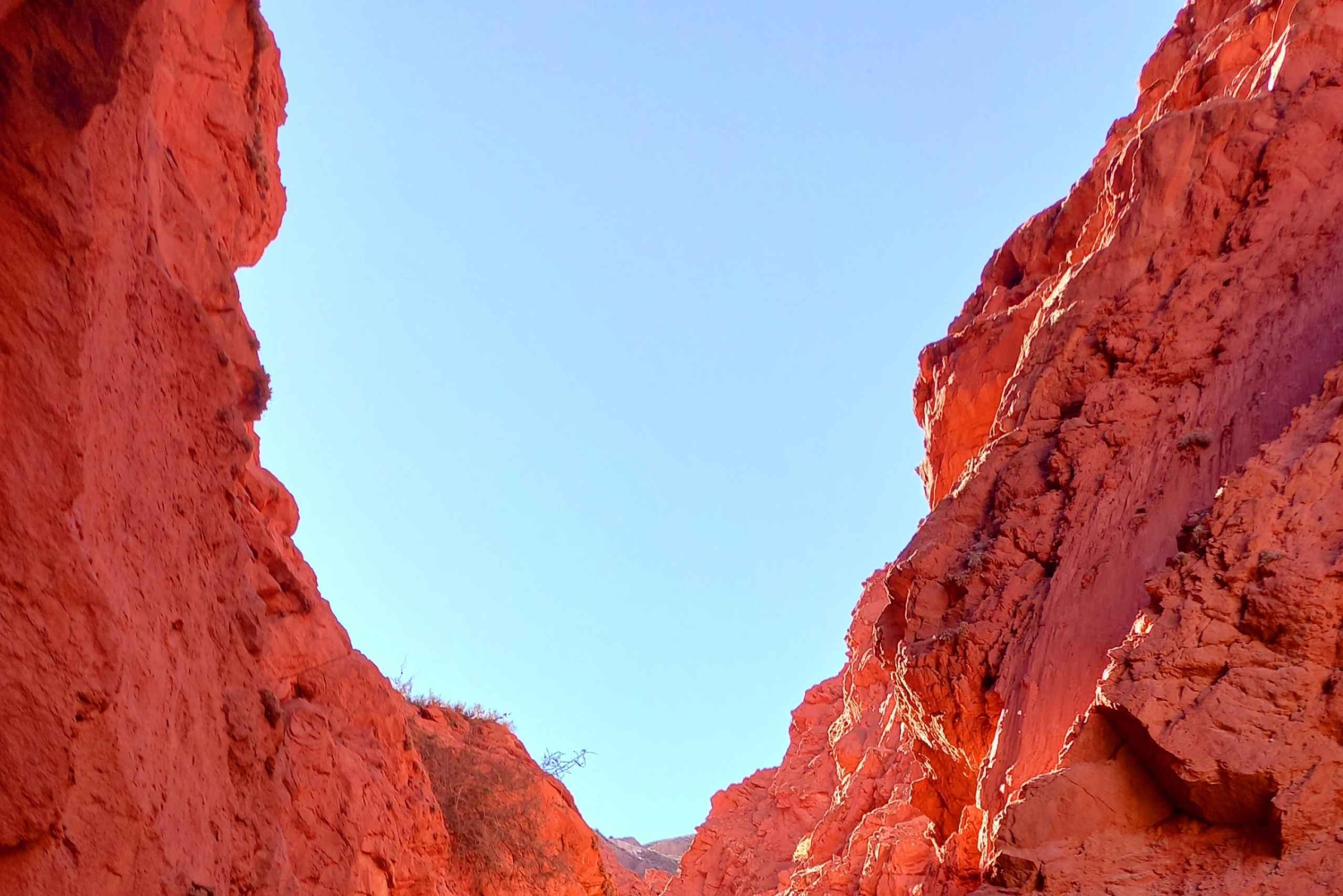 Тилькара: тур Хумауака + Хорнокаль + ущелье Сеньоритас (тройной тур)