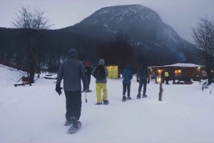 Ushuaia: Antarktisk opplevelse med snøscooter