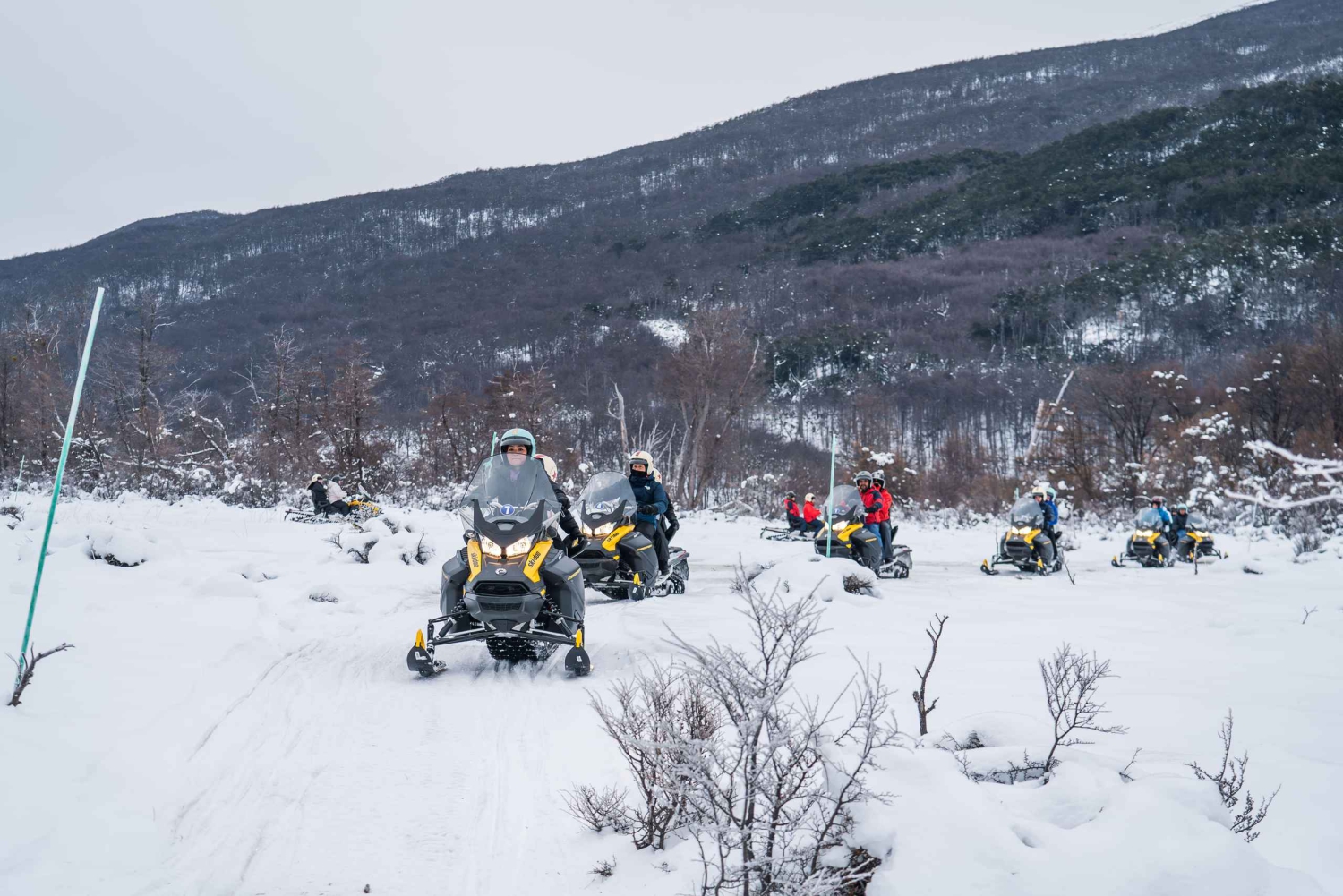 Ushuaia: Snøscooter+Rockets+Huskies+Skikjøring+Lunsj eller Pizza Rodizio