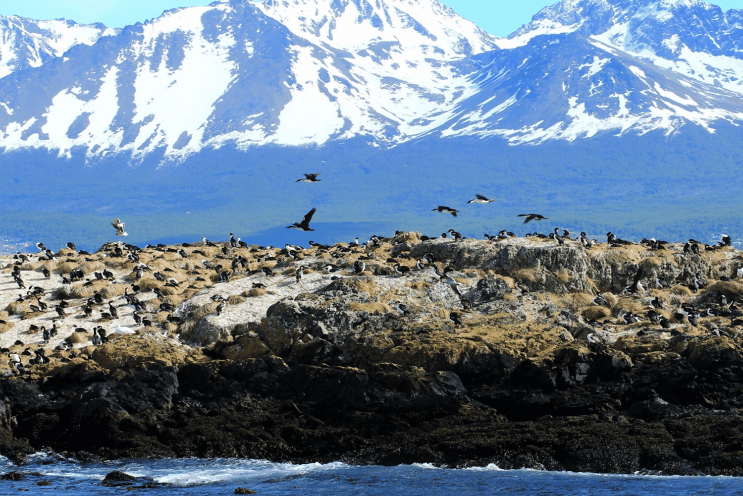 Ushuaia: Wycieczka: Nawigacja po kanale Beagle