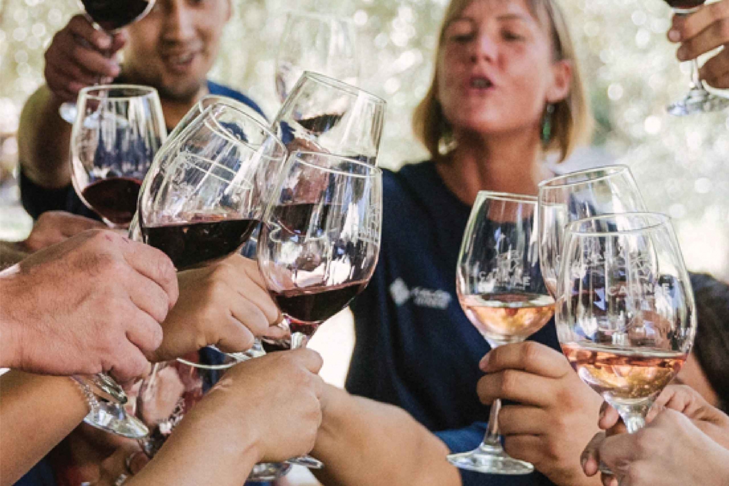 Mendoza: Vinsmakingstur med lunsj og privat transport