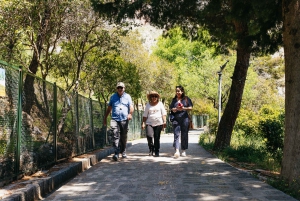 Athens: Delphi Day Trip with Licensed Guided Tour and Pickup