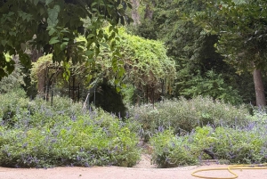 Афины: пешая экскурсия с гидом по скрытым жемчужинам