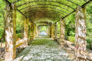 Visite Instagram d'Athènes : Les endroits les plus pittoresques