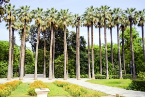 Athens Instagram Tour: The Most Scenic Spots