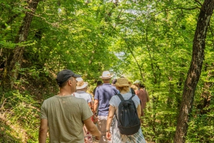 Athens: Meteora Monasteries & Caves Day Trip & Lunch Option